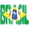 Brasil Brazil Brazilian flag trip