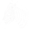 Zebra Silhouette