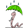 Worm with umbrella
