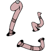 worm