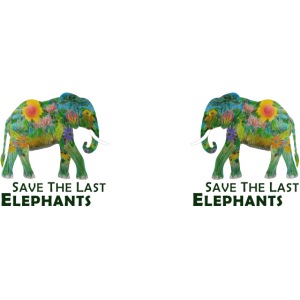 Save The Last Elephants