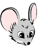 Mouse head