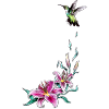 Lielie flower hummingbird