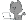 Cat Laptop