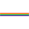 Flag Gay