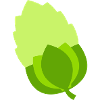 Hopfen