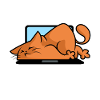 Cats and computers