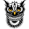 Visage d'un hibou