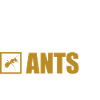 Ant