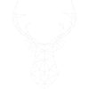 Deer Deer