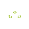 Chat avec trois yeux blanc