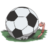 Fußball Geschenk Idee