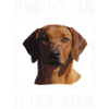 Rhodesian Ridgeback Lionhunter