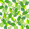 Green leaf collage
