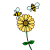 Buttercup with two bees