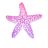 starfish