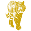 Gold Tiger