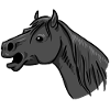 Portrait de cheval