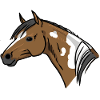 Portrait de cheval