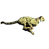 Gepard1