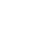 Rough-haired Dachshund Dachshund