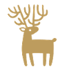 Reindeer