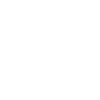 Burger Skull w