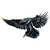 Raven - Raven