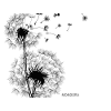 Pissenlits noir