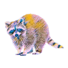 racoon