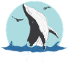 blue whale