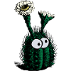 Cactus with eyes