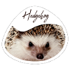 Hedgehog