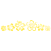 Hawaii flowers