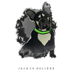 French bulldog