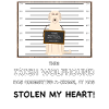 Irish Wolfhound Mugshot