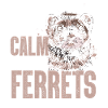 Frettchen