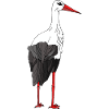 Stork