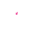 Think different with cats