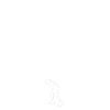 Inline skating