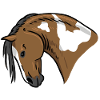 Horse Portrait