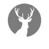 Deer moon antlers