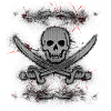 Jolly Roger Skull Pirate Paint Splatter