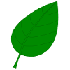 green leaf
