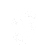 Heart with flowers