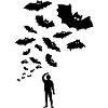 bats, fledermäuse mensch