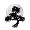 Moon bonsai