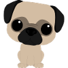 Pug Pug. pug