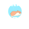 hamster