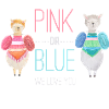 Gender reveal baby family pregnancy